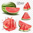 3d realistic transparent isolated vector set, whole and slice of watermelon, watermelon in a splash of juice with drops