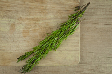 A bunch of fresh rosemary on the table.