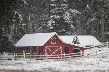 Wall Mural - An old red barn in a winter wonderland during a snow storm.