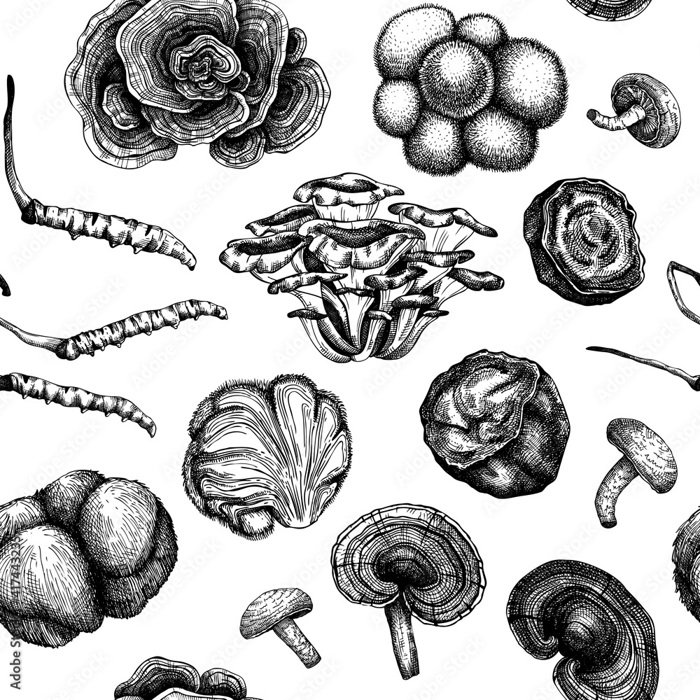 Medicinal mushroom background. Hand sketched adaptogenic plants seamless pattern. Perfect for recipe, menu, label, packaging. Hand sketched mushroom outlines.  - obrazy, fototapety, plakaty 