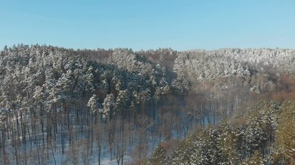 Canvas Print - aerial view of beautiful winter forest, morning.