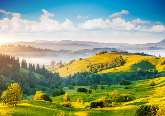 Photo Sur Toile - Great countryside landscape in morning light. Location place Carpathian mountains, Ukraine, Europe.