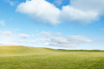 Poster - Grass and sky