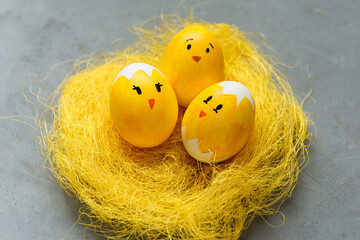 Close up view of yellow nest with three chicken eggs decorated as chicks with funny faces. gray background.