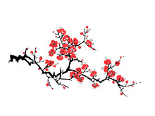 Decorative Sakura Blossom - Japanese Cherry Tree Isolated On White Background. Artistic Branch Sakura Blossom. Vector