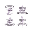 © Kseniia - Set of thyme logo with hand drawn elements. Vector illustration in sketch style isolated on white background