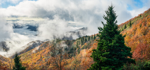 Wall Mural - Spectacular clouds and fog on the Blue Ridge Parkway near Graveyard Fields in North Carolina