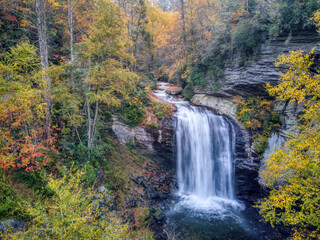 Canvas Print - Autumn view of Looking Glass Falls in the Pisgah National Forest near brevard