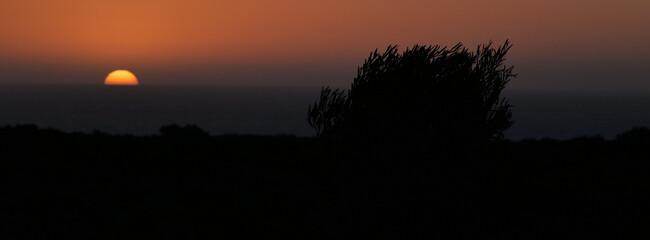 Silhouette shot of grass in a field against a beautiful sunset backgroun