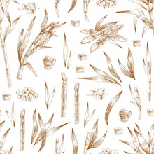 Seamless pattern with heaps and loaves of brown sugar, cane leaves and branches. Endless repeatable texture with sugarcane. Hand-drawn monochrome vector illustration on white background