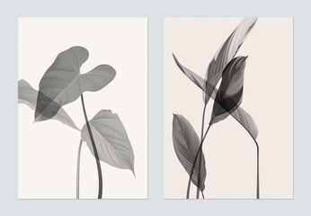 Botany poster template design, various monochrome leaves on grey and brown