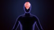 © PIC4U - 3d illustration  human body brain anatomy.