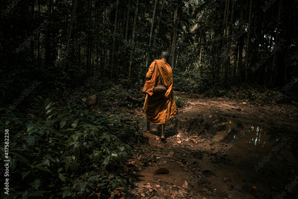 Buddyjski mnich w pomarańczowej szacie samotnie wędrujący przez dżunglę. - obrazy, fototapety, plakaty 