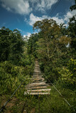 Fototapeta Mosty linowy / wiszący - Drewniany most linowy rozwieszony pośród dżungli.