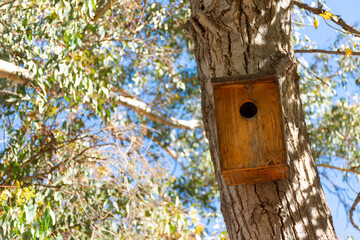 wooden artificial nest in a park