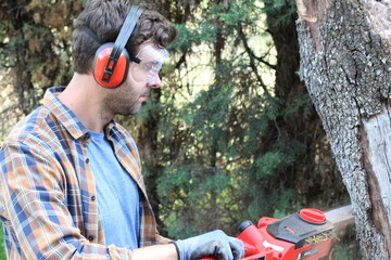 Wall Mural - Candid of lumberjack holding a chainsaw