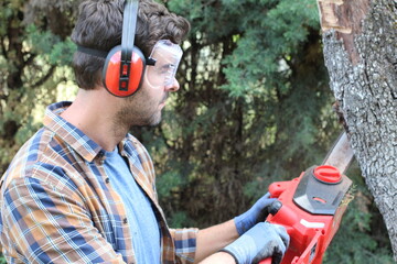 Wall Mural - Man cutting tress with chainsaw