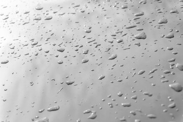 Wall Mural - Drops of water or rain on a light smooth surface with reflection. Wet surface texture and pattern