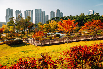 Wall Mural - View of modern skyscrapers and Gwanggyo Lake Park at autumn in Suwon, Korea