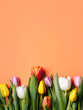 Creative layout with tulips on vibrant orange background. Minimal spring bloom, Women's day, wedding, birthday or Valentines day concept. Floral arrangement with copy space. Flat lay, top view.