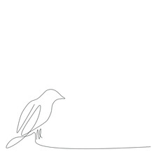 Bird Silhouette Drawing, Vector Illustration