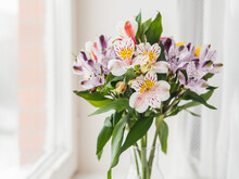 Colorful Alstroemeria Flowers In Glass Vase On Window Sill. Natural Spring Background With White And Violet Flowers.