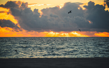 sunrise on the beach nature sea horizon sky clouds 