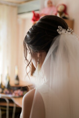 Wall Mural - bride in white dress with veil