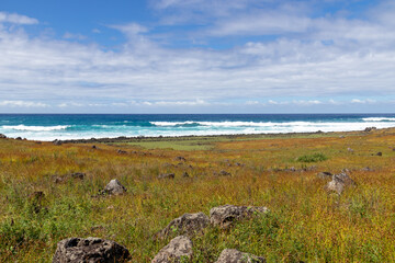 Canvas Print - Littoral de l’île de Pâques