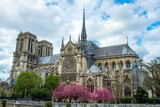 Fototapeta Paryż - notre dame cathedral