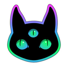 Head Of Fantasy Black Cat With Three Eyes On Multicolored Bright Background