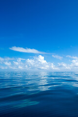 Wall Mural - tropical sea under the blue sky. sea landscape.