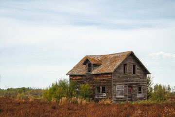 A beautiful wooden weathered two story old farm house dotted with green shrubs under a sunny sky in a countryside landscape