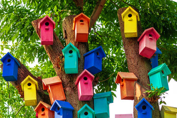  Colorful Bird Houses. Houses for birds. Lodges for a wintering of birds