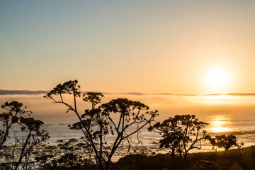 Wall Mural - USA, California. Sunset over the Pacific Ocean, seen from Pacific Coast Highway on San Simeon North Shore.