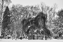 Graysshot Of A Snow-covered Graveyard