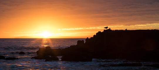 Sticker - USA, California, Laguna Beach. Sunset over the Pacific Ocean.