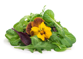 Sticker - mix salad with arugula spinach salad red and edible flowers on a white background