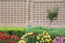 Columbarium In The Background Of A Flower Garden At The Sydney War Cemetery