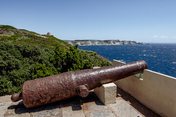 Wall Mural - Bonifacio