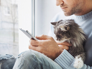 Adorable, charming kitten in the hands of a caring owner. Close-up, indoors. Studio photo. Pets Care Concept 