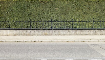 Wall Mural - House fence consisting of a high hedge, a black metal railing and a low concrete wall. Cement sidewalk and asphalt street in front. Background for copy space