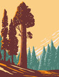 General Grant Tree Trail with the Largest Giant Sequoia in the General Grant Grove Section of Kings Canyon National Park in California WPA Poster Art