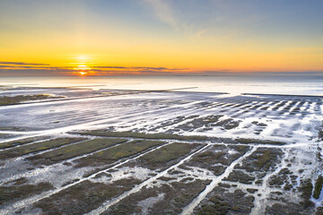 Wall Mural - Aerial view over salt marsh plains Wadden Sea