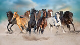 Fototapeta Do przedpokoju - Horses free run on desert storm against sunset sky