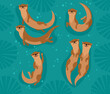 Vector set with cartoon brown otters, seaweed and bubbles