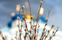 Willow Branches With Swollen Shaggy Buds Against The Background Of The Blurred Silhouette Of The Domes Of The Orthodox Cathedral With Glaring Crosses