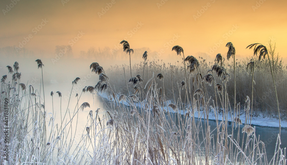 Obraz na płótnie Zimowy Krajobraz O Brzasku  Nad Rzeką  w salonie