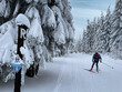 Ski fahren auf dem Rennsteig / Thüringer Wald