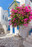 Fototapeta Uliczki - Traditional Cycladitic alley with narrow street, whitewashed houses and a blooming bougainvillea flowers in parikia, Paros island, Greece.